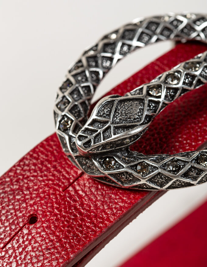 Cinturón Snake. Cinturón hebilla con serpiente plateada.