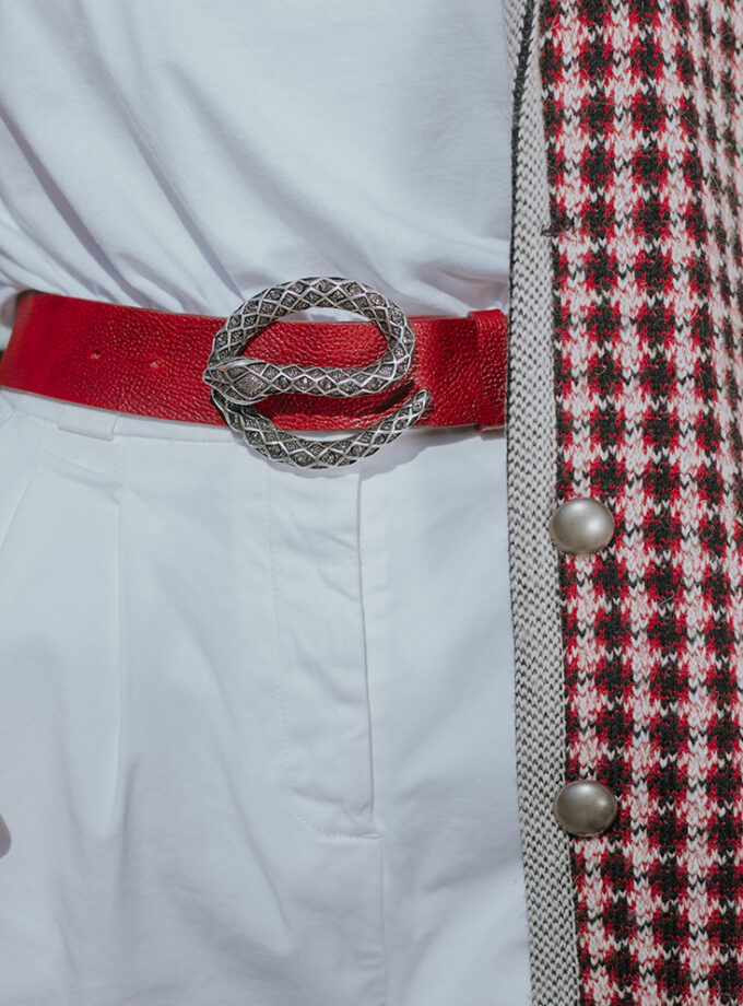 Cinturón Snake. Cinturón hebilla con serpiente plateada.